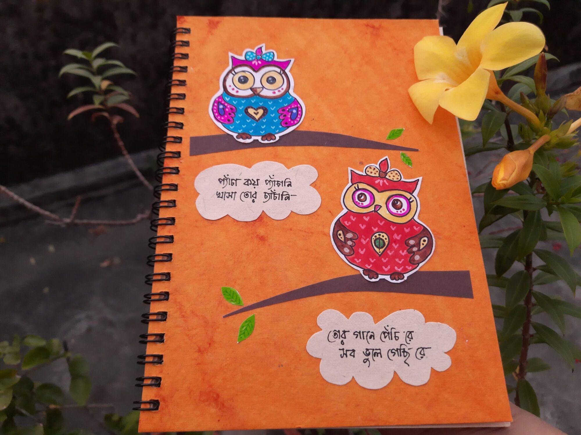 Wario Diary - Owl